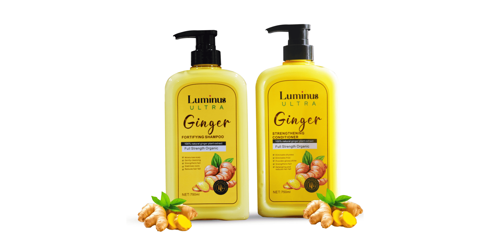 Ginger Shampoo & Conditioner-0